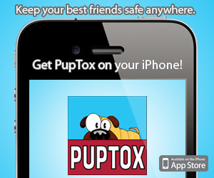 Download PupTox on your iPhone